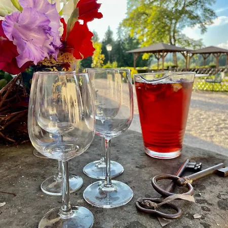 酒店 Schloss Gaestehaus 莫斯堡